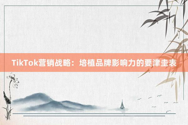 TikTok营销战略：培植品牌影响力的要津圭表